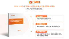 2025年全球洁净剂行业阐发：市场规模将达500亿美